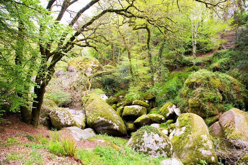 Forêt de Huelgoat